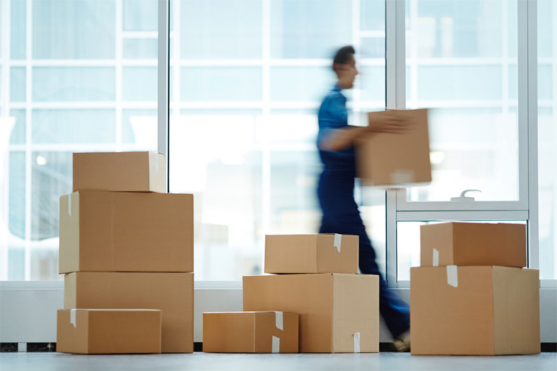 Man Carrying Moving Boxes in an Office